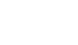 ANDAMOS VOLANDO