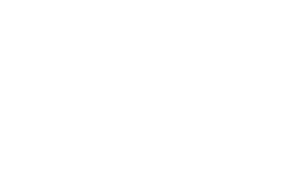 TECNICA DE PLATA